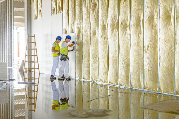 Best Energy Efficiency Insulation in Cudahy, WI